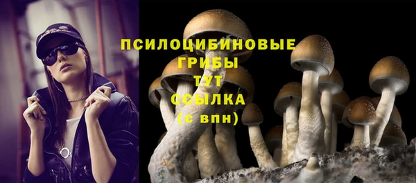 дурь Осинники